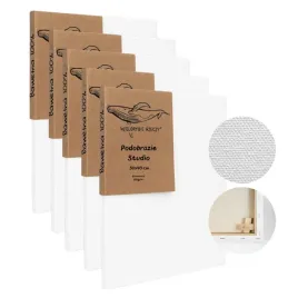 plotno-malarskie-30x40-5szt-do-malowania-podobrazie-grube-350g-m-blejtram