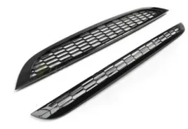 grill-mini-cooper-01-06-r50-r53-s-type-glossy-bl
