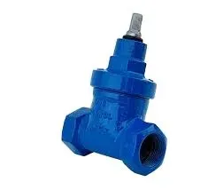 zasuwa-pe-pcv-32-sztyca-plus-skrzynka-zeliwnagz