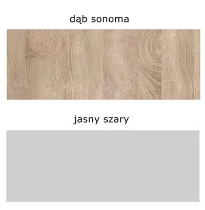 regal-osaka-01-dab-sonoma-stan-nowy