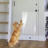 maty-do-drapania-pawaboo-do-60-cm-marka-inny