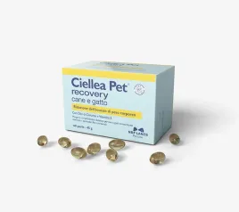 ciellea-pet-recovery-dla-kota-dla-psa-60-szt