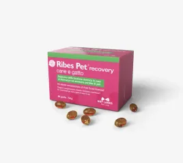 ribes-pet-recovery-cane-e-gatto-60