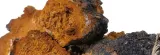 bio-chaga-proszek-100-g-postac-proszek