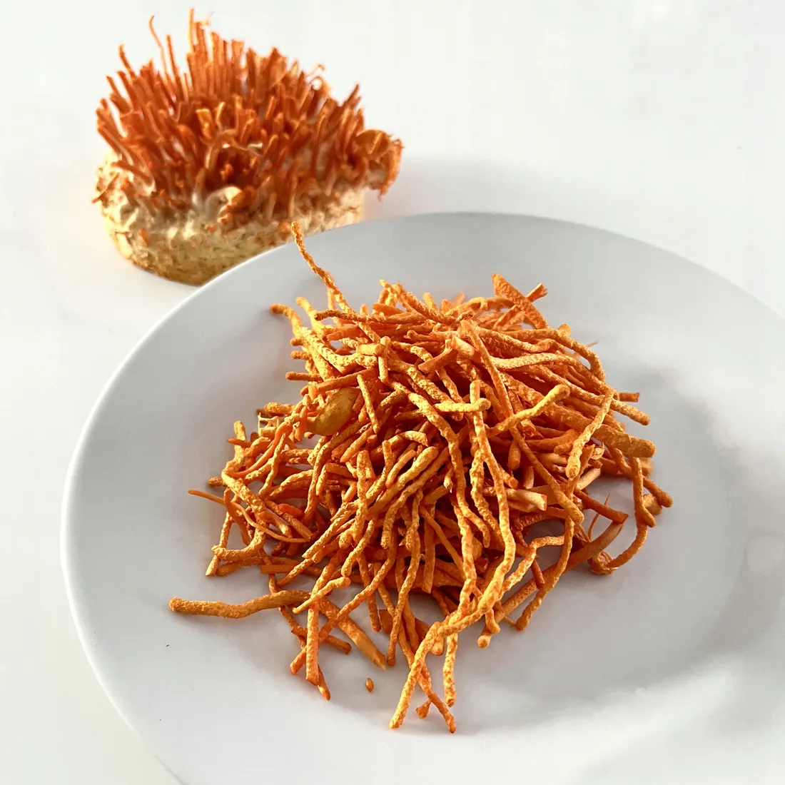 bio-cordyceps-sinensis-proszek-100-g-postac-proszek