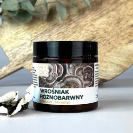 wrosniak-roznobarwny-trametes-versicolor-90-kap