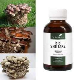 shiitake-podwojny-esktrakt-bio-lentinula-edodes-100ml