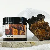 chaga-inonotus-obliquus-90-kap