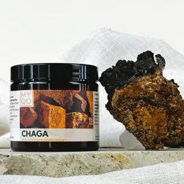 chaga-inonotus-obliquus-90-kap