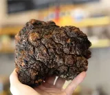 chaga-inonotus-obliquus-90-kap-postac-kapsulki
