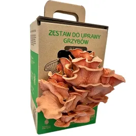 grzybnia-boczniak-rozowy-mushrooms-grow-kit-zestaw-do-uprawy-w-domu