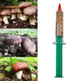 grzybnia-w-plynie-pierscieniak-10ml