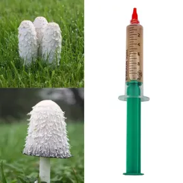 grzybnia-w-plynie-czernidlak-10ml