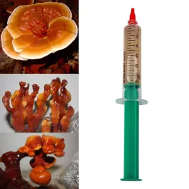 grzybnia-w-plynie-reishi-10ml-ganoderma-lucidum