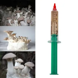 grzybnia-w-plynie-boczniak-eryngii-10ml