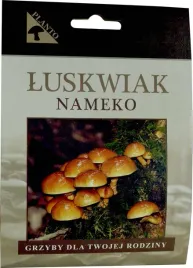nameko-grzybnia-uprawa-w-ogrodzie-kolki-20