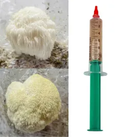 grzybnia-w-plynie-soplowka-jezowata-10ml-hericium