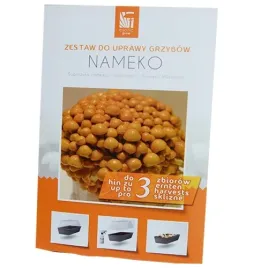 luskwiak-nameko-gotowy-zestaw-z-miniszklarenka