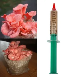 grzybnia-w-plynie-boczniak-rozowy-10ml