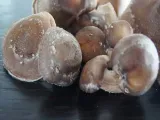shiitake-lentinula-edodes-kapsulki-120szt-marka-planto