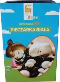 grzybnia-pieczarki-zestaw-do-uprawy-dla-dzieci