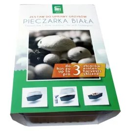 zestaw-do-uprawy-w-domu-pieczarka-biala-grzybnia