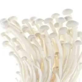 grzybnia-enoki-gotowe-podloze-do-uprawy