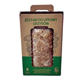 boczniak-ostrygowaty-mushrooms-grow-kit-grzybnia