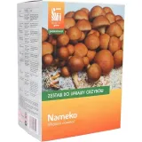 nameko-zestaw-do-uprawy-grzybow