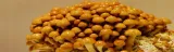 nameko-zestaw-do-uprawy-grzybow-stan-nowy
