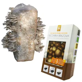 grzybnia-pieczarki-brazowej-boczniaka-ostrygowatego-15kg-w-zestawie