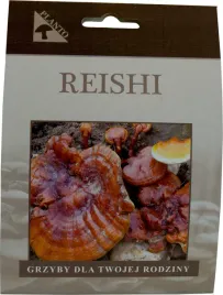 reishi-grzybnia-na-kolkach-grzyby-lecznicze
