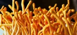 cordyceps-szalka-petriego-marka-planto
