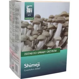 shimeji-zestaw-do-uprawy-grzybow