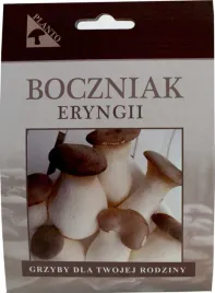 boczniak-eryngii-grzybnia-na-kolkach-grzybnie