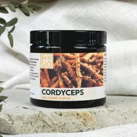 cordyceps-myqo-500-mg-90-kapsulek-grzyb-maczuznik-chinski-w-kapsulkach