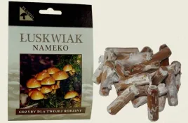 nameko-grzybnia-na-kolkach-100-szt-domowa-hodowla-grzybow