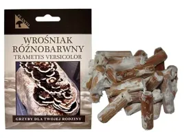 wrosniak-roznobarwny-grzybnia-na-kolkach-100-szt-domowa-uprawa-grzybow