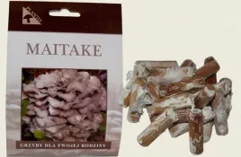 grzybnia-na-kolkach-maitake-100-szt-domowa-uprawa-grzybow