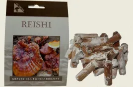 grzybnia-na-kolkach-reishi-100-szt-domowa-uprawa-grzybow