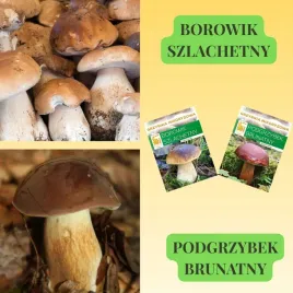 zestaw-mikoryzy-borowik-szlachetny-podgrzybek-brunatny-or-do-ogrodu
