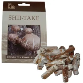 grzybnia-na-kolkach-shiitake-100-szt-domowa-uprawa-grzybow