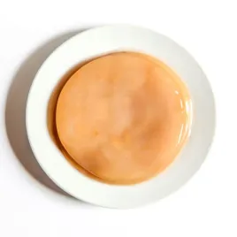 kombucha-kultura-scoby-do-samodzielnego-przygotowania-grzyb-herbaciany