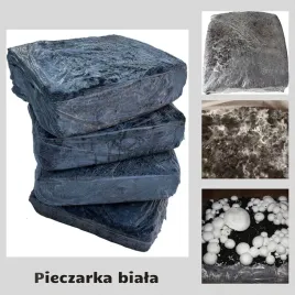 swieza-grzybnia-pieczarki-bialej-24kg-torf-duzy-zestaw-od-grzyboznawcy
