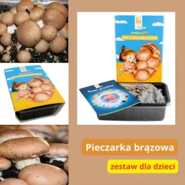 pieczarka-brazowa-zestaw-edukacyjny-dla-dzieci