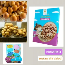 zestaw-do-uprawy-grzybow-nameko-dla-dzieci