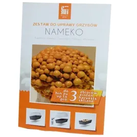 nameko-grzybnia-w-zestawie-z-miniszklarenka