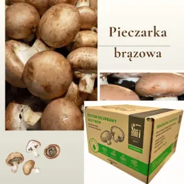 pieczarka-brazowa-gotowe-podloze-15l-idealne-dla-amatorow-i-ogrodnikow