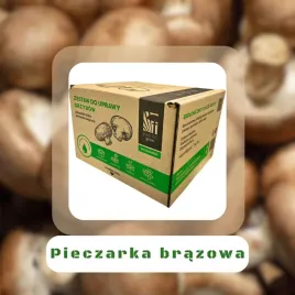 grzybnia-pieczarki-brazowej-15l-w-zestawie-naturalne-szybkie-plony