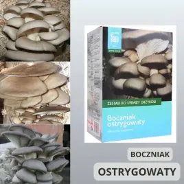 boczniak-ostrygowaty-or-wlasne-podloze-uprawowe-krok-po-kroku